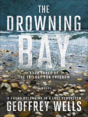cover image of The Drowning Bay